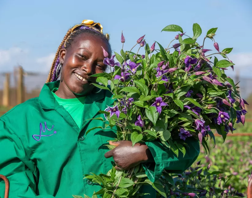 Nachhaltige Energie in unseren Blumenfarmen nutzen