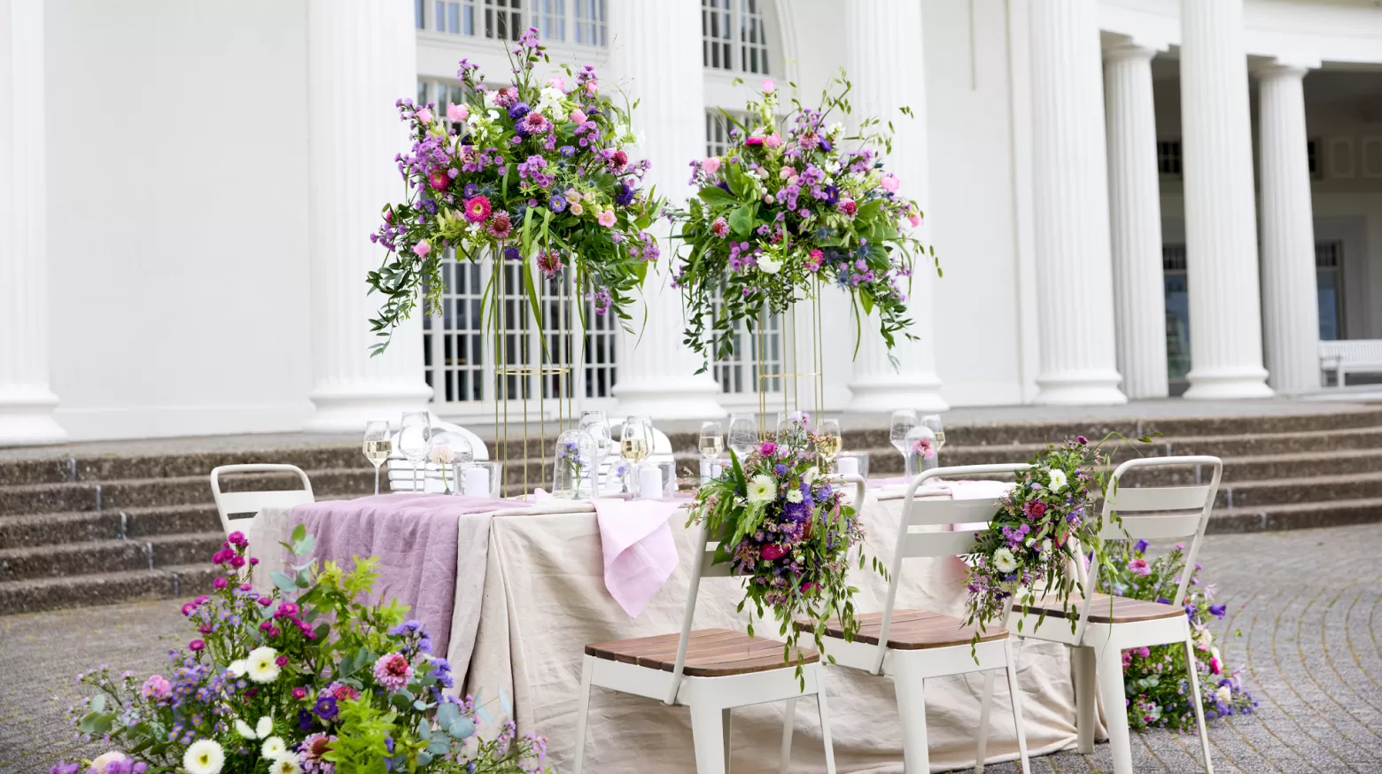 Aster Flash - Marginpar cut flowers