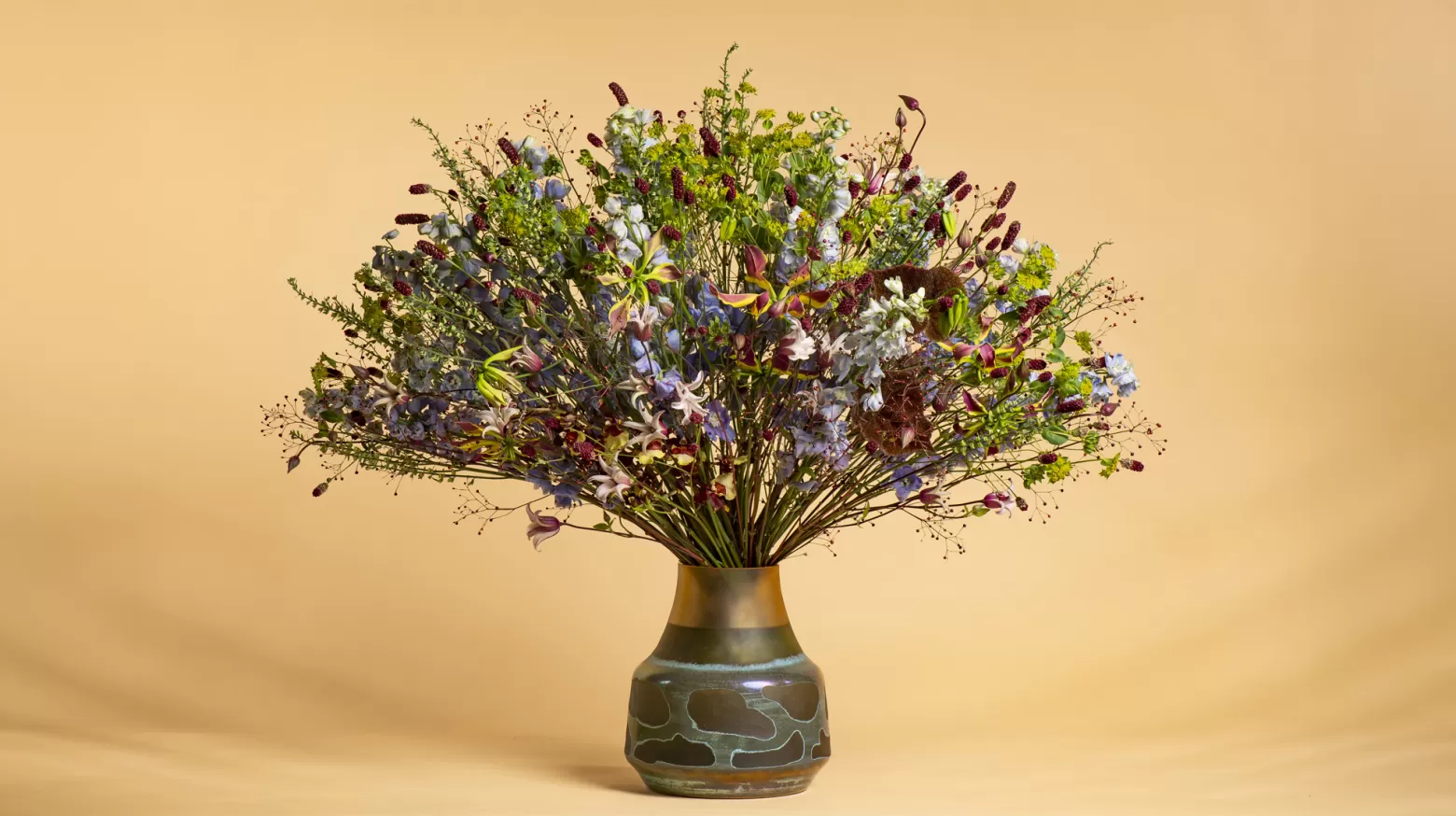 Bupleurum Griffithii - Marginpar cut flowers