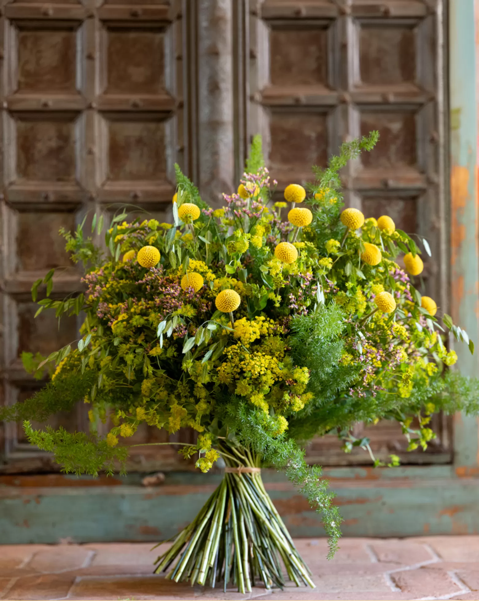 Bupleurum Griffithii - Marginpar cut flowers