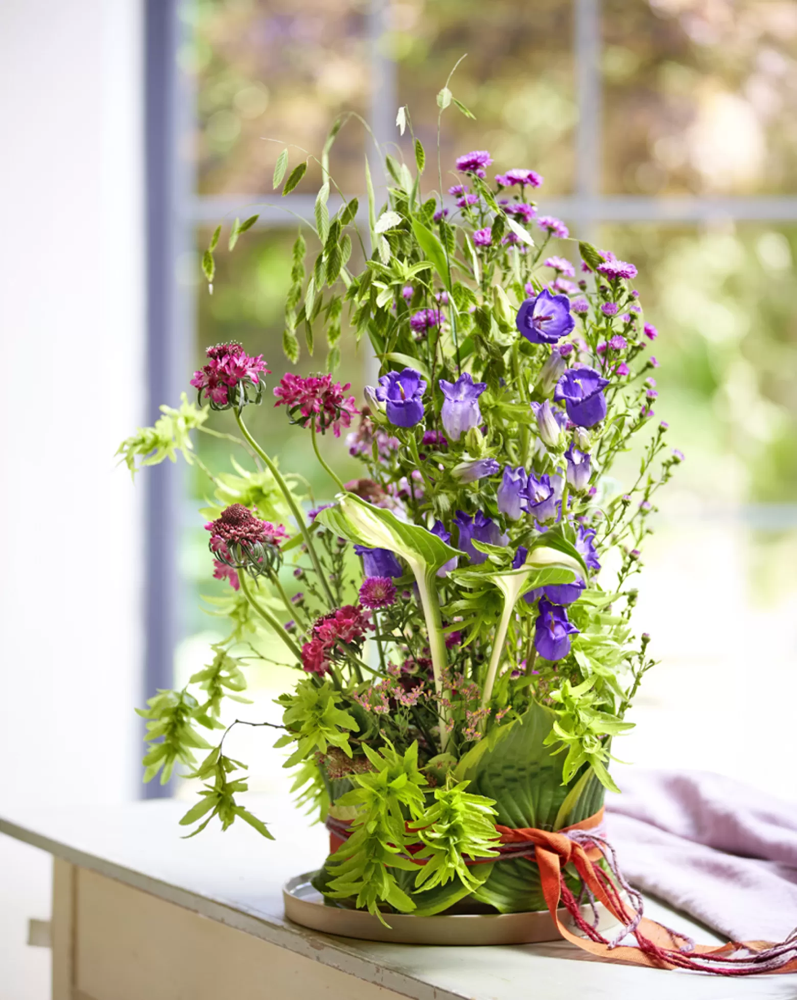 Campanula Champion Lilac - Marginpar cut flowers