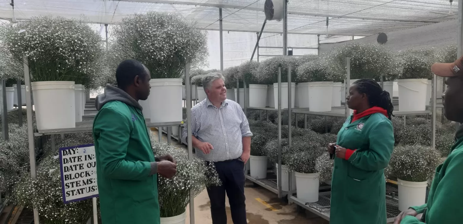 Jonathan Ralling zwischen den Gypsophila