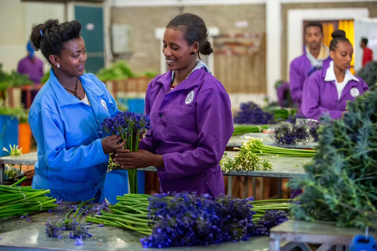 Packhouse in Ethiopia