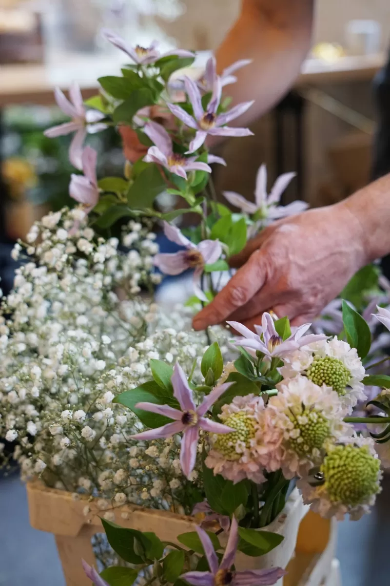 Flower selection - Clematis