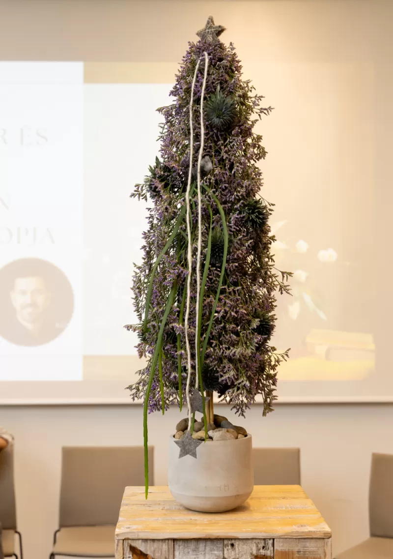 Christmas tree - Limonium