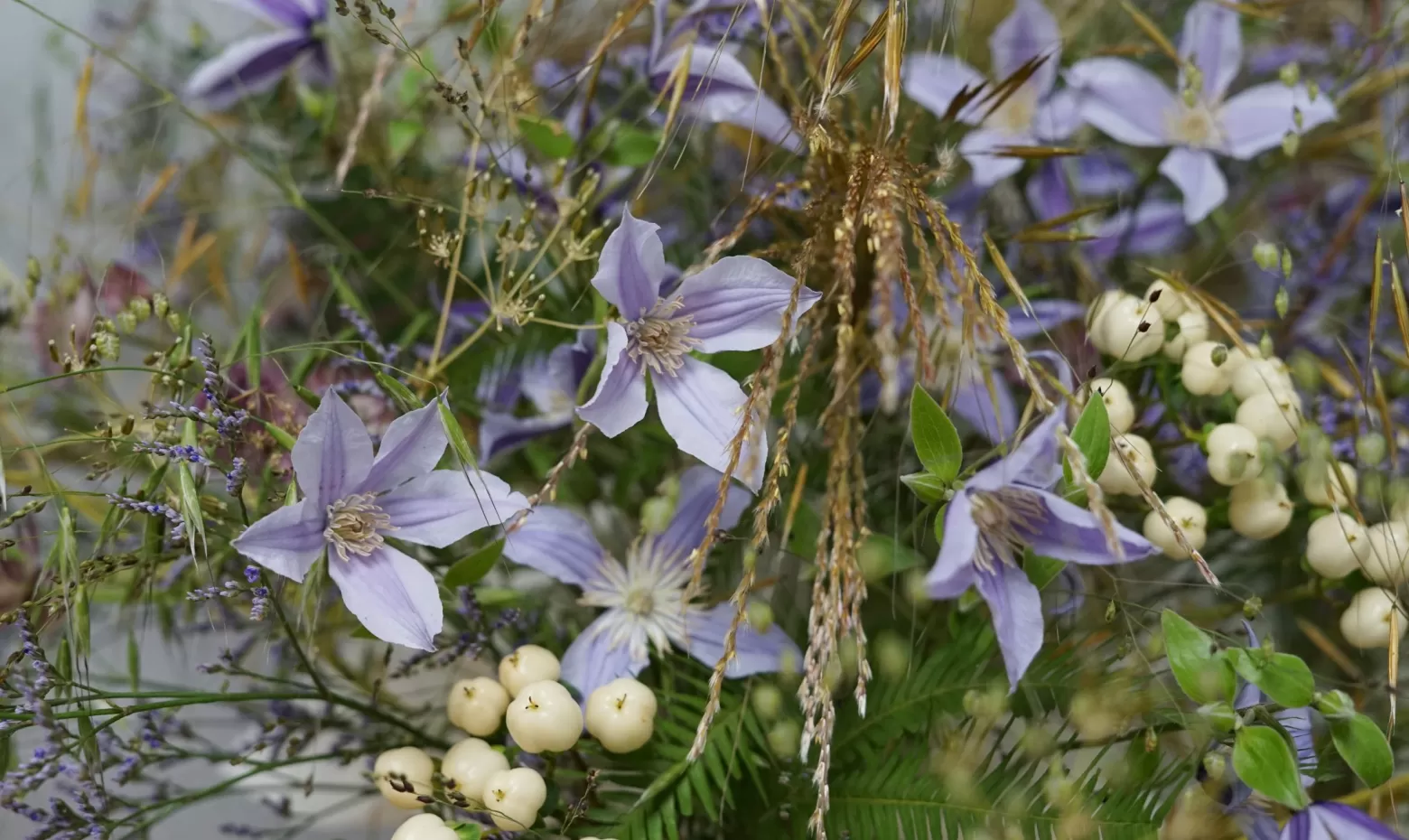 Clematis Star River - Bouquet