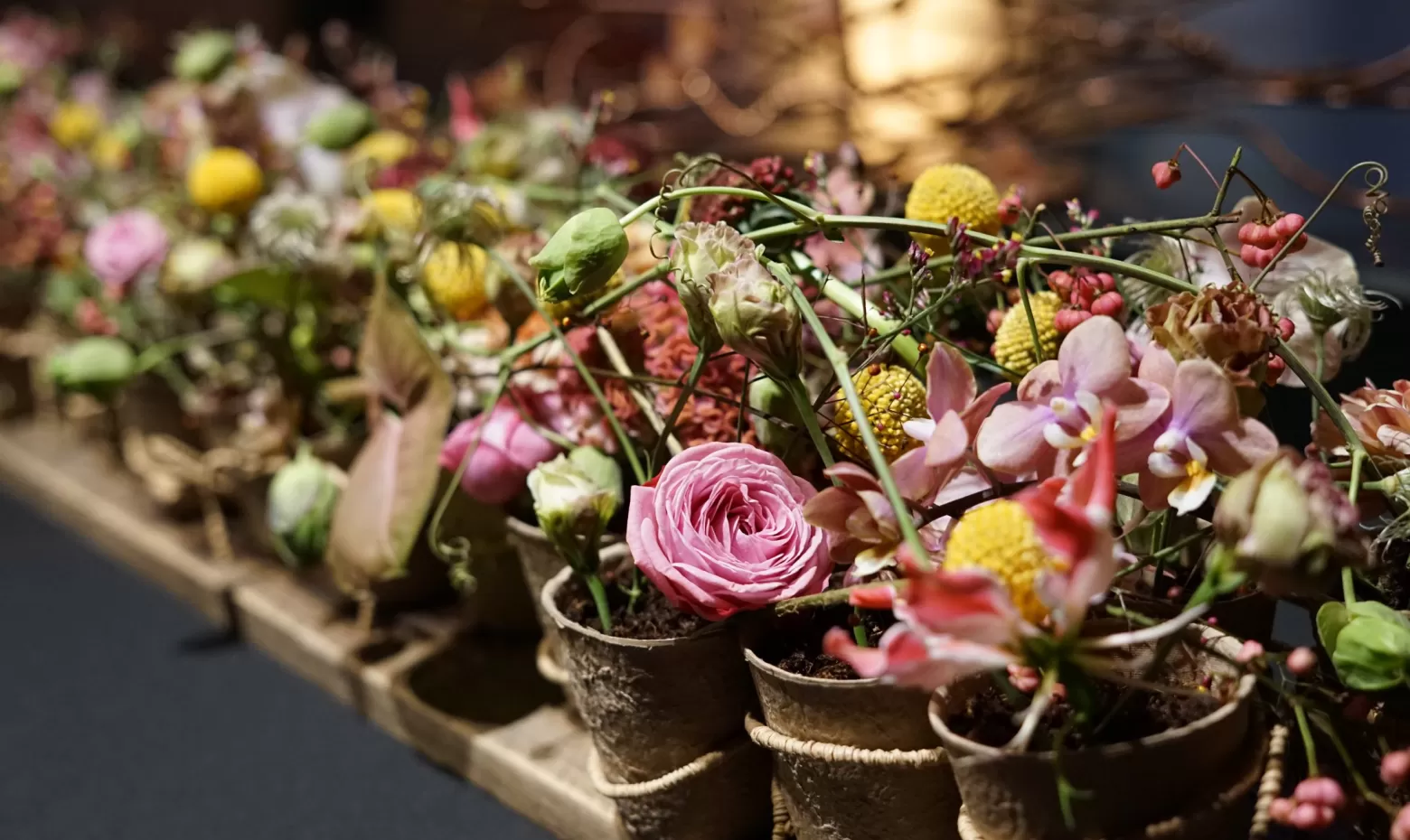 Féerie Florale: die magische Welt der Blumen