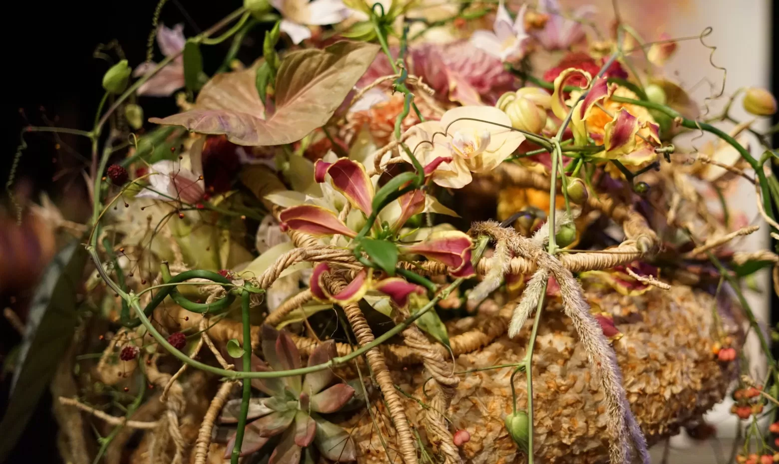 Féerie Florale: the magical world of flowers