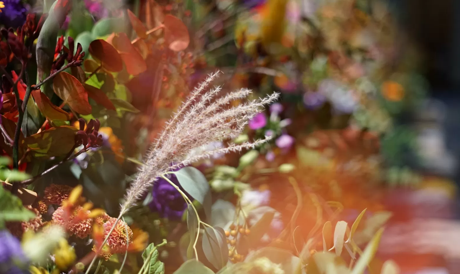 Féerie Florale: the magical world of flowers