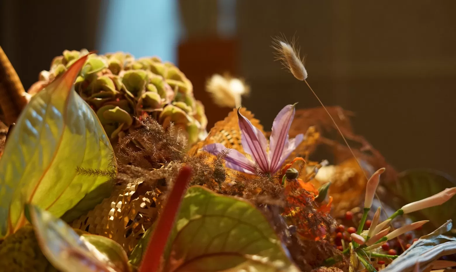 Féerie Florale: die magische Welt der Blumen