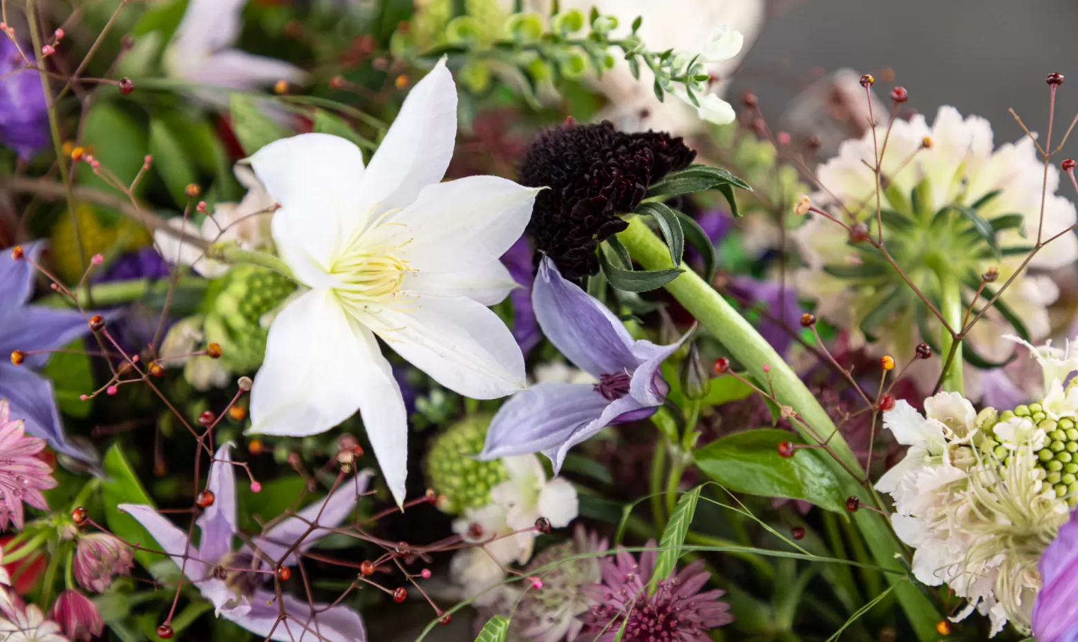 Closeup - summer flowers